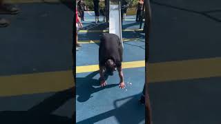 Rendevous Parkour Gathering 2024 - Chris Keighley | Parkour Generations London