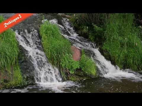 Video: Lisää aasialaisia flairia kotiisi käyttämään Shoji-näyttöjä