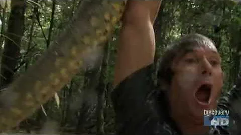 Austin Wrestles a Giant Anaconda