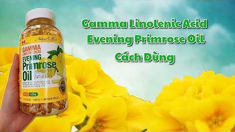 Evening primrose oil 500mg là thuốc gì