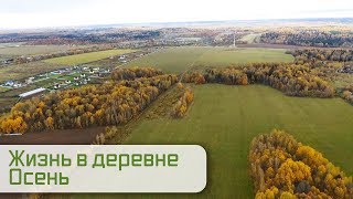 Жизнь в деревне. Осенние будни на семейной ферме.