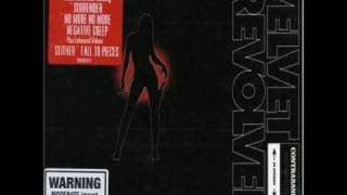 Video thumbnail of "velvet revolver - fall to pieces (acoustic version)"