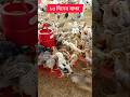 #sonali #farming #viral #shortvideo #short #Ak poultry feed