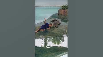 Thumbnail of Alligator attacks performance
