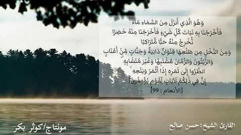 تلاوة عطرة خاشعة مريحة رائعة للشيخ حسن صالح من سورة الأنعام من اية ١٠٣/٩٥