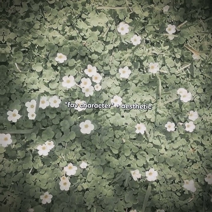 Parte 14 | My fav character   aesthetic | #mignonbl #manhwa #mignon #anime #bl #mignon #blmanhwa