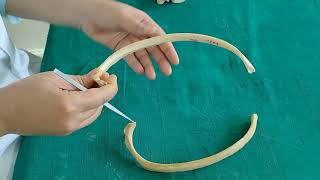 REVISION OF TYPICAL RIB
