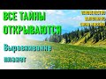 🔹ВСЕ ТАЙНЫ ОТКРЫВАЮТСЯ!