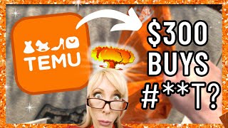 I Got $300 to SHOP TEMU! | WHAT Did I Get? | TEMU Review 2023