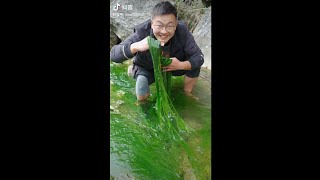 中国では藻をお菓子にして食べるそうです‥