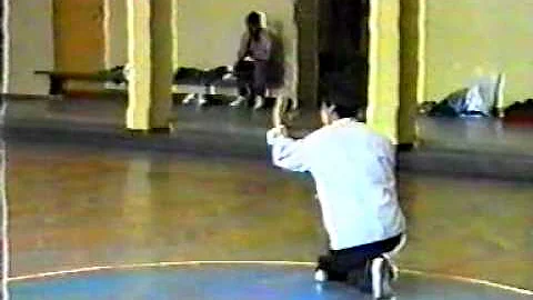 Master Wen-Ching Wu - Xingyiquan - Twelve Animals ...