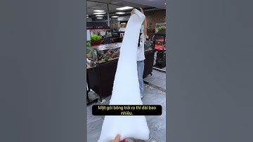 Bí Mật Nước Bể Cá Trong Vắt: Bông Lọc Thần Thánh! #hồcá #cá cảnh #nuôicá #mẹo