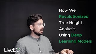 How We Revolutionized Tree Height Analysis Using Deep Learning Models