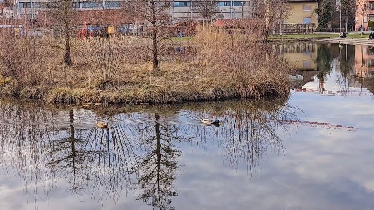 Liebefeld Let's Play in Liebefeld Park! A Family Day Out in Bern - YouTube