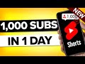 How to get your first 1000 subscribers on youtube in 24 hours actually works