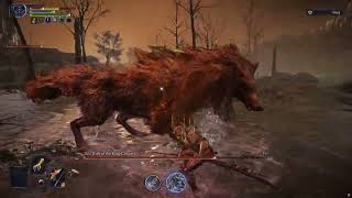 Solo/No Relics/No Deaths/Executor/Equilibrious Beast | Elden Ring: Nightreign