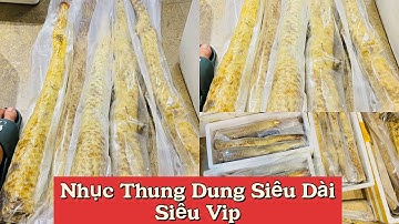 Nhục Thung Dung Sa Mạc | Lô Hàng Dài Lên Bình Tuyệt Vời Luôn Ạ