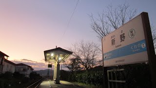 早朝の牟岐線新野駅の風景 普通列車と特急むろと2号　2020.1.2