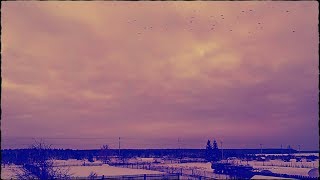 Big Audio Input - Nasty Drone [Minimal/Electronic]
