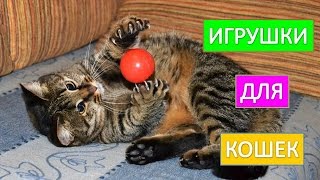 Игрушки для кошек. Купить лучшие игрушки для кошек. Игрушки для кошек. Купить лучшие игрушки для кошек.
