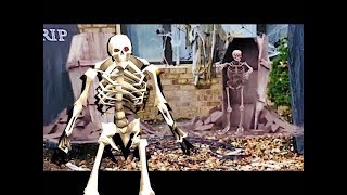 The Skeleton War Explained: A Survival Guide