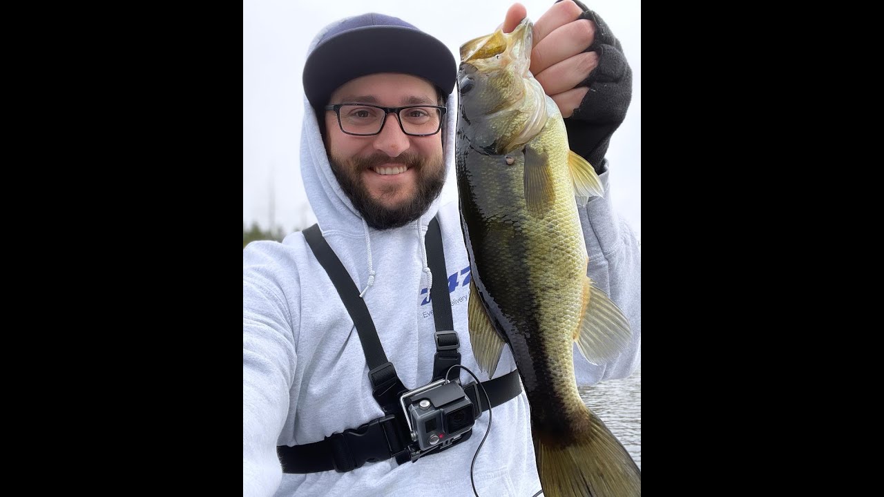 The Fall Bass Feed in Washington