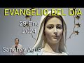 Evangelio Del Dia Hoy - Lunes 29 Enero 2024- David Perdona al que lo Ofende - Sangre y Agua