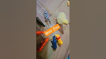 Zoo Animals | toys Animals #adorablechicks #funny #shorts
