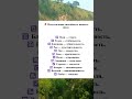 Неотъемлемая способность каждого знака предсказание Astrology знакизодиака астрология Неотъемлемая способность каждого знака предсказание Astrology знакизодиака астрология