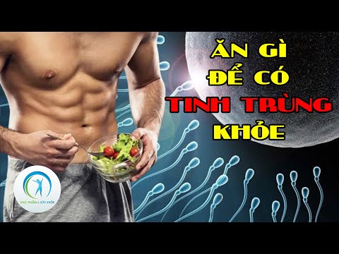 Những thực phẩm hàng ngày giúp cho tinh trùng “khỏe” và “bơi nhanh” hơn | Thực phẩm và sức khỏe