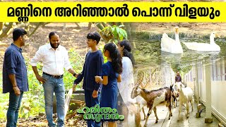 പാലക്കാട് പള്ളത്തേരിയിൽ രാജീവിന്റെ സമഗ്ര പുരയിട കൃഷി കാഴ്ചകൾ | Rajeev Farm | Haritham Sundaram EP456