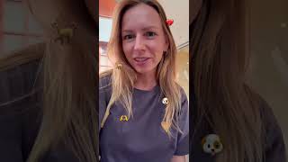 Dog cafe ЛЮБОВЬ ВСЕЙ ЖИЗНИ🐶 отдых в одиночку для тех кто работает с людьми #hr adviceagency.ru