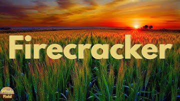Josh Turner - Firecracker (Lyrics)