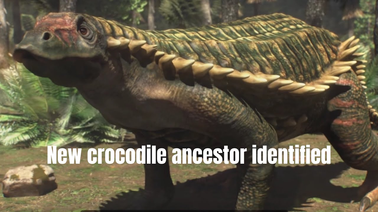 Tanks of the Triassic! New crocodile ancestor identified - YouTube