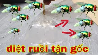 Mẹo Đuổi Ruồi - Cách Diệt Ruồi Tận Gốc Cực Hay