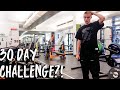 30 DAYS GYM vs HOME WORKOUT challenge?!? *which gets better results*| Skinny to not