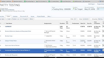 VIDEO Constraint Demo