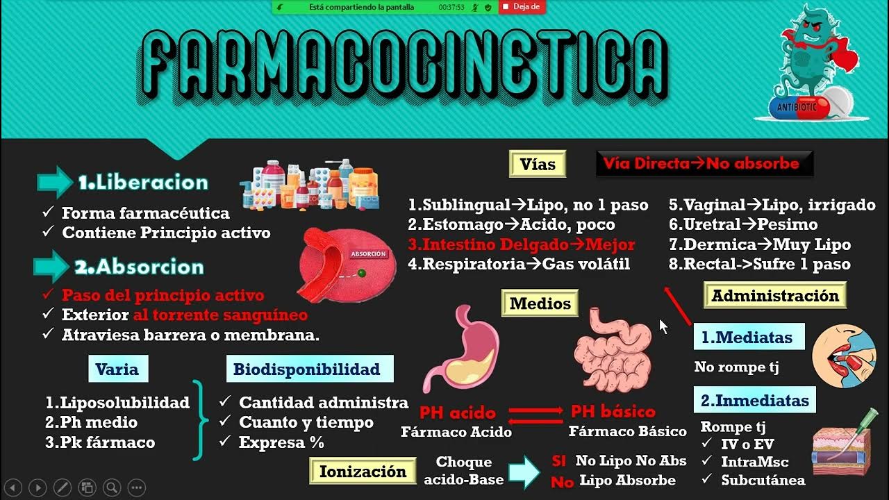 Como tomar antibióticos sin dañar el estómago