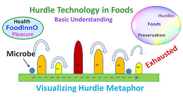 Hurdle Technology in Foods: Basic Understanding