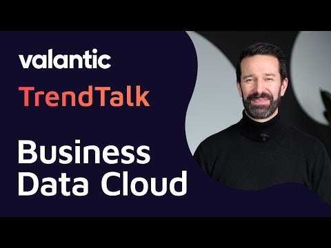 SAP Business Data