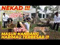 GIILLLAAA !!! BISA MASUK KANDANG HARIMAU TERBESAR DIDUNIA !!! SEREM BANGETT