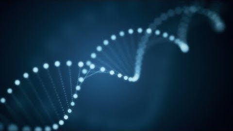 Rotating DNA Glowing Molecule on Blue Background | Videohive Project Templates