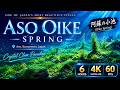 【癒し】Aso Oike Spring in 4K 60FPS|6 Hours of Japan’s Crystal Clear Underwater Paradise 🐠🫧