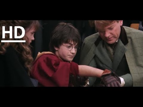 Harry Potter ve Sırlar Odası  |  Rogue Bludger sahnesi (2/2) |