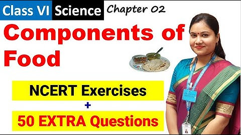 Components of Food Exercises & Question Answers / Class 6 Science Chapter 2 Question Answer