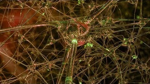 Artificial Intelligence | Motion Graphics - Videohive template