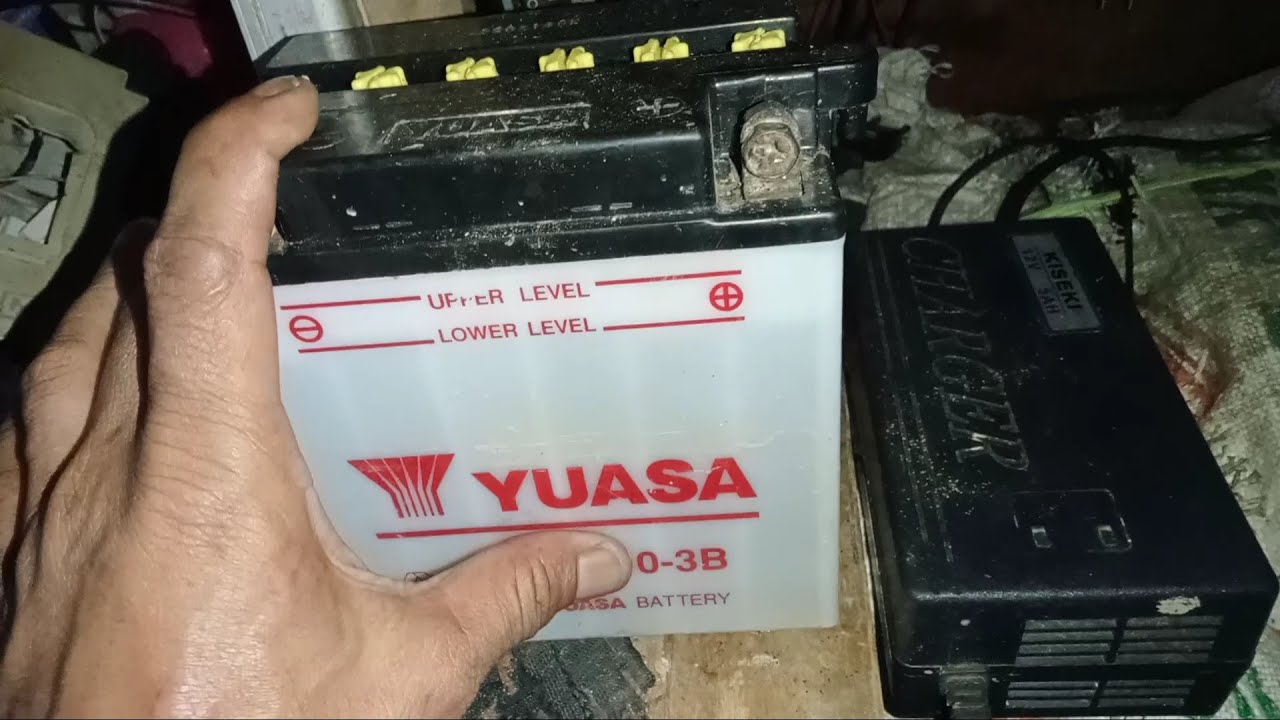 cara ngecas aki setrum ikan paling aman dan murah
