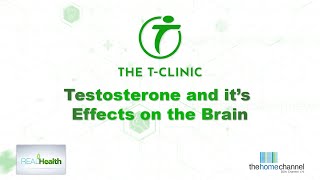 HOW TESTOSTERONE AFFECTS THE BRAIN’S FUNCTION