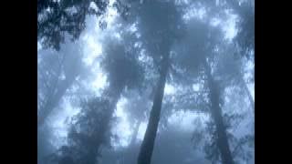 Adyashanti - Good Karma? Bad Karma?