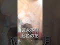 徳永英明🎵七色の花 #徳永英明